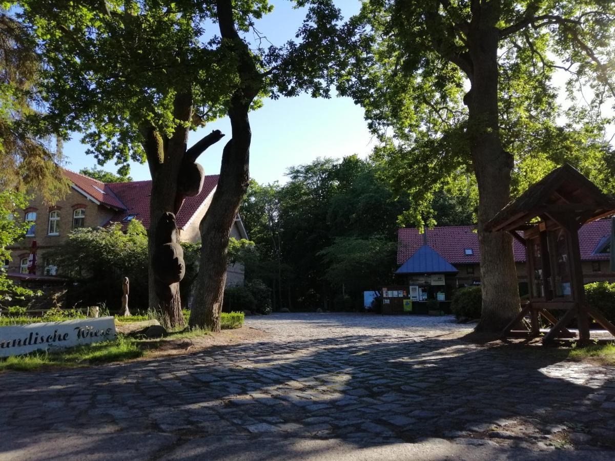 Hotel Schloesschen Sundische Wiese Zingst Εξωτερικό φωτογραφία